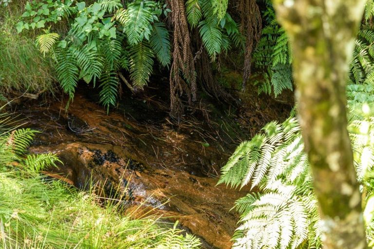 Photo of property in 425 Hot Springs Road, Tahawai, Katikati, 3178