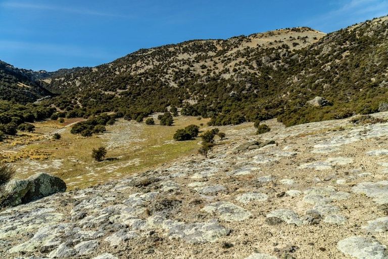 Photo of property in 191 Lakefront Terrace, Northburn, Cromwell, 9383