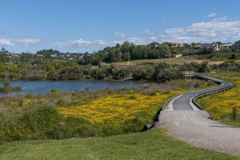 Photo of property in 307 Carmichael Road, Brookfield, Tauranga, 3110