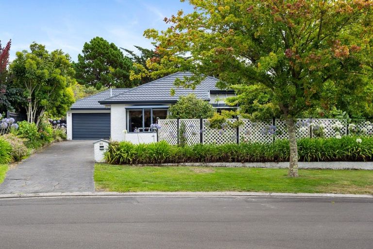 Photo of property in 20 Kingsgate Avenue, Havelock North, 4130