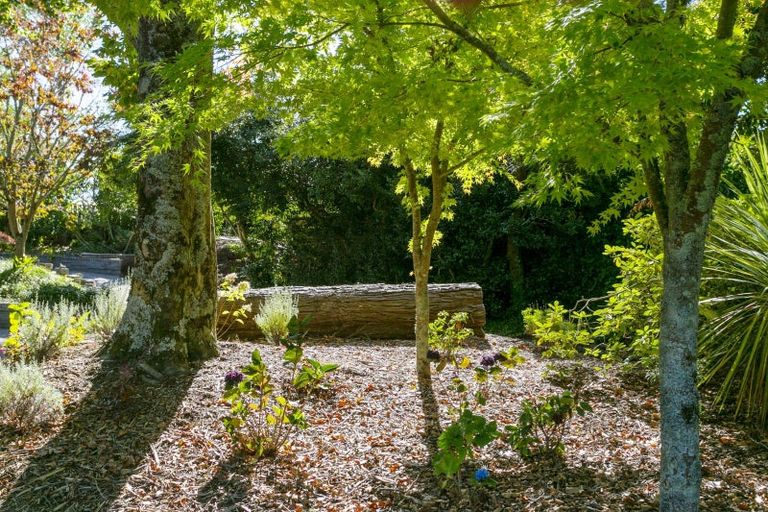 Photo of property in 11 Chesham Avenue, Waipahihi, Taupo, 3330