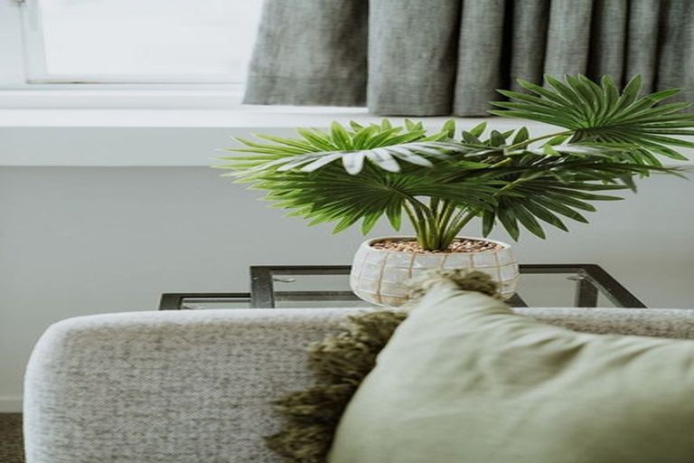 Photo of property in 312 Victoria Street, Hamilton Central, Hamilton, 3204