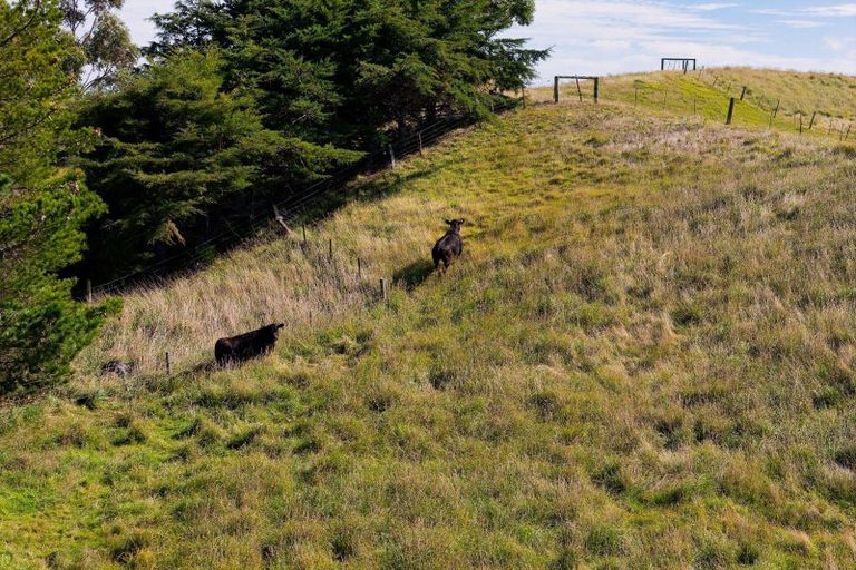 Photo of property in 317 Caseys Road, Blind River, Seddon, 7285