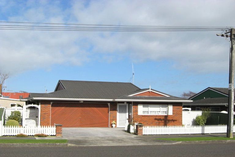 Photo of property in 20 Manchester Street, Levin, 5510