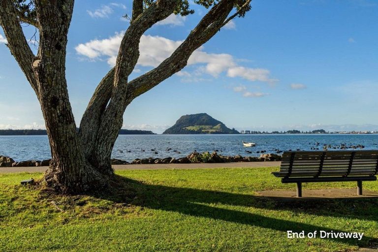 Photo of property in 61a Beach Road, Otumoetai, Tauranga, 3110