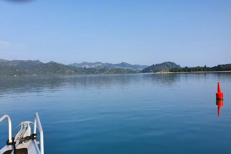 Photo of property in 116 Ti Kouka Crescent, Matarangi, Whitianga, 3592