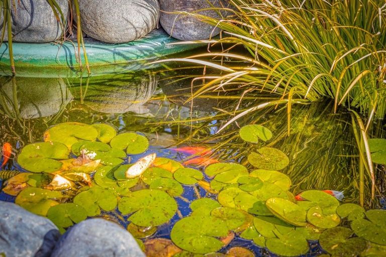 Photo of property in 309 Newell Road, Tamahere, Hamilton, 3283