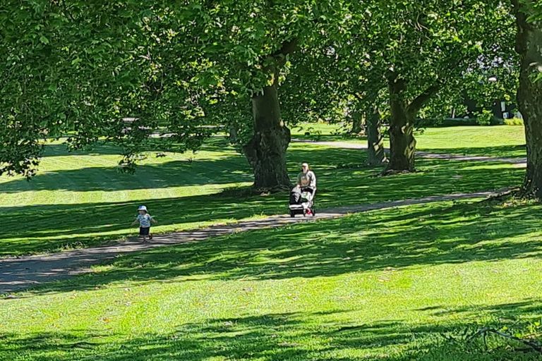 Photo of property in 13 Hoki Avenue, Morrinsville, 3300