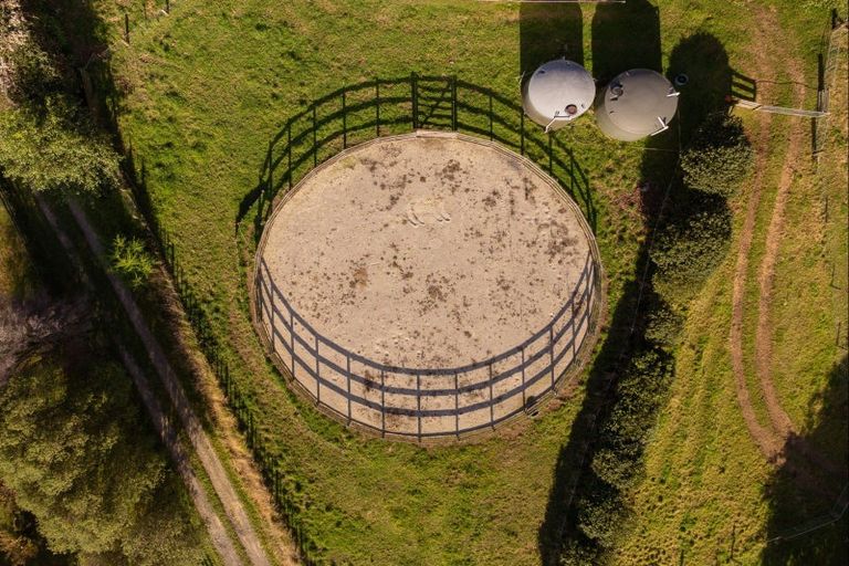 Photo of property in 67 Laurel Drive, Whakamarama, Tauranga, 3179