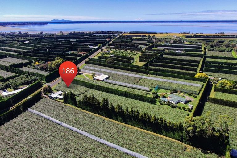 Photo of property in 186 Beach Road, Katikati, 3178