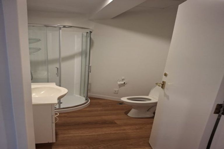 Photo of property in Courtenay Apartments, 208/120 Courtenay Place, Te Aro, Wellington, 6011