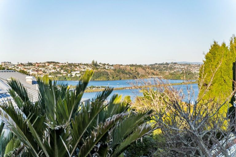 Photo of property in 103 St Stephens Avenue, Parnell, Auckland, 1052
