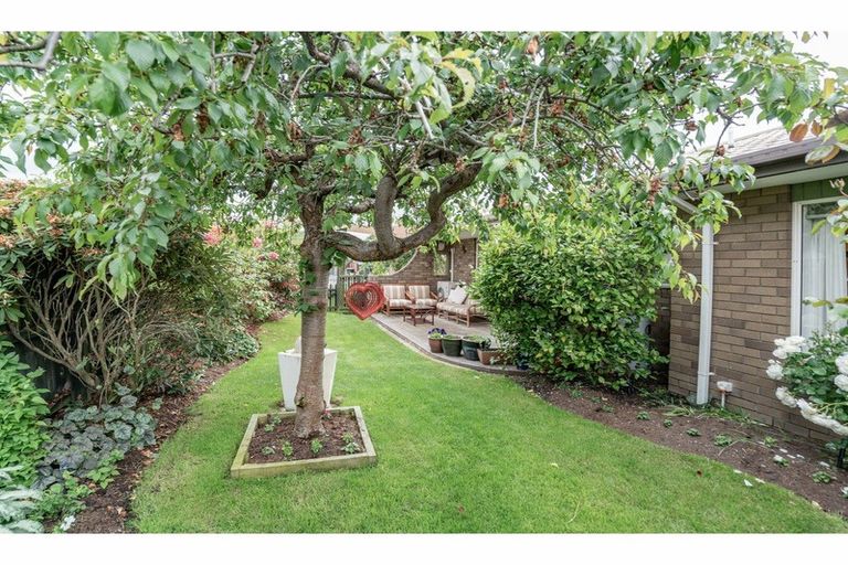 Photo of property in 55 Isaac Wilson Road, Kaiapoi, 7630