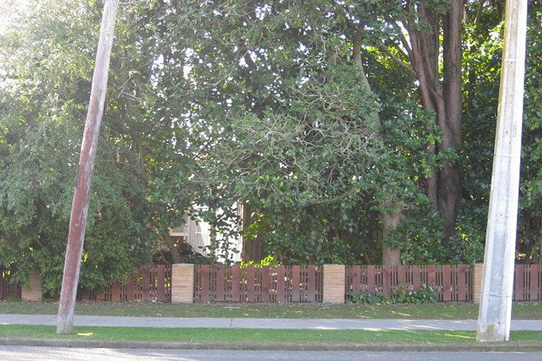 Photo of property in 68a Bridge Street, Whakatane, 3120