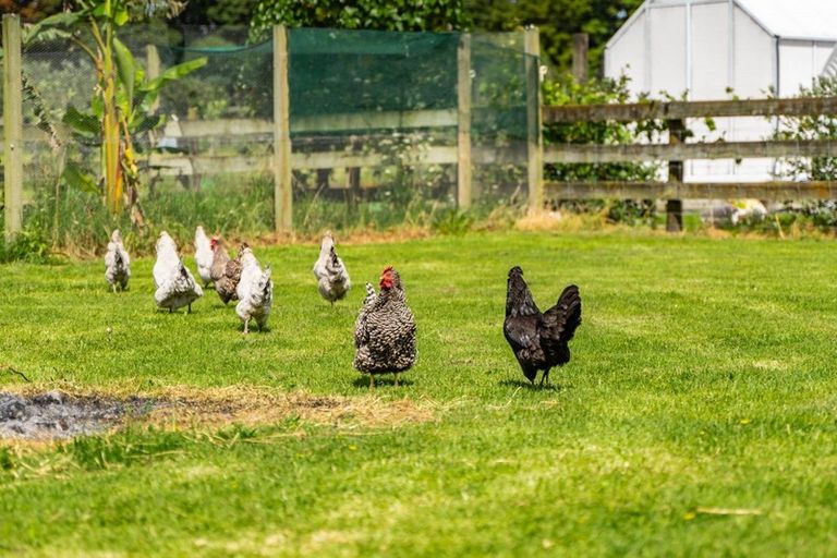 Photo of property in 63 Woodward Road, Maungatapere, Whangarei, 0179