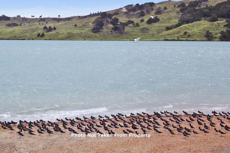 Photo of property in 5 Te Ngahere Lane, Kaiwaka, 0573