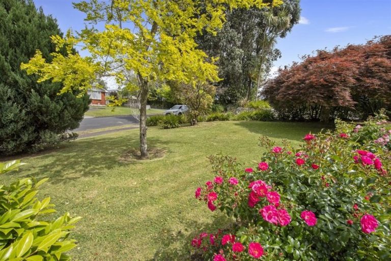 Photo of property in 7 Sunset Crescent, Maungatapu, Tauranga, 3112