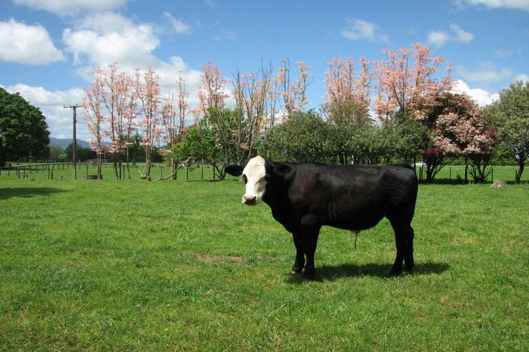 Photo of property in 595a Tauranga Road, Te Poi, Matamata, 3473