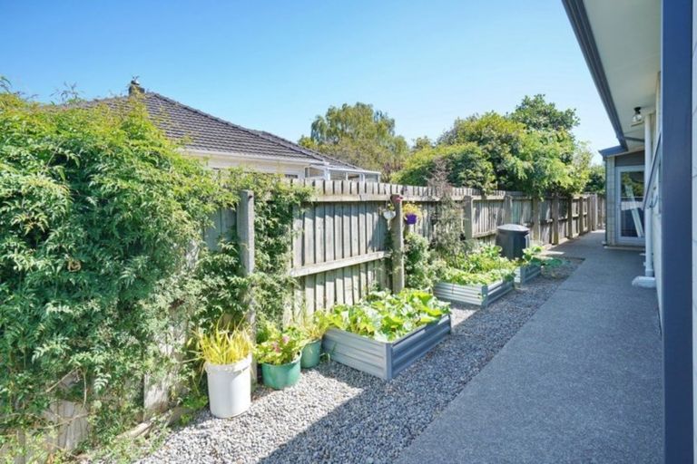 Photo of property in 28 Bank Street, Amberley, 7410