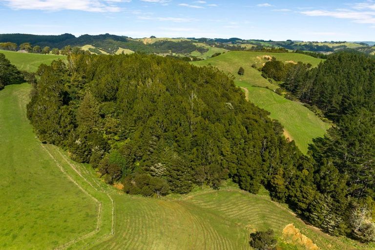 Photo of property in 360 Burnside Road, Makarau, Kaukapakapa, 0873