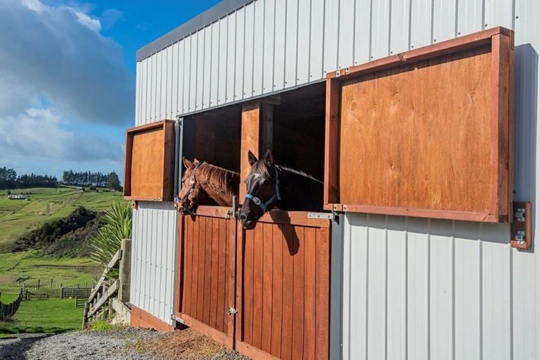 Photo of property in 101 Stunnell Road, Otaika, Whangarei, 0170