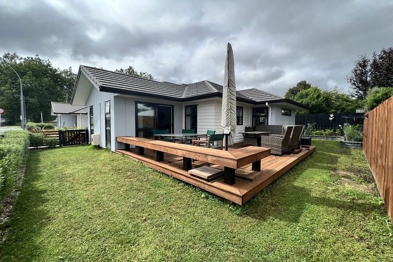 Photo of property in 3 Walker Terrace, Dinsdale, Hamilton, 3204