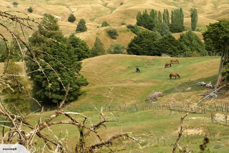 Photo of property in 51 Valley Road, Manunui, Taumarunui, 3924