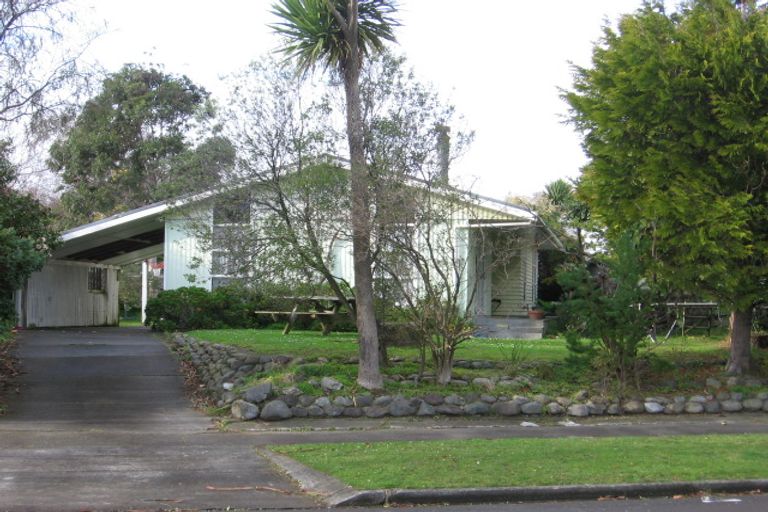 Photo of property in 17 Patea Place, Terrace End, Palmerston North, 4410