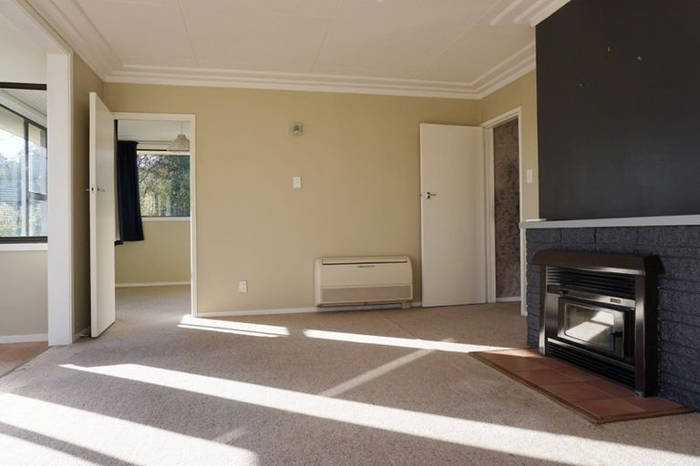 Photo of property in 23 Kinvig Street, Andersons Bay, Dunedin, 9013