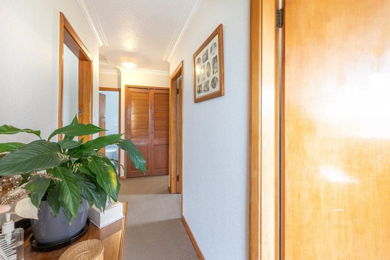 Photo of property in 23 Duckworth Street, Andersons Bay, Dunedin, 9013