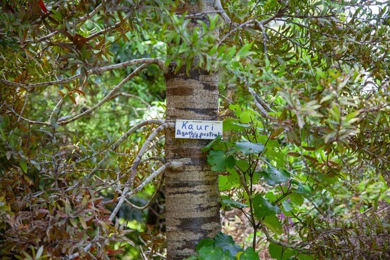 Photo of property in 1288 Manaia Road, Manaia, Coromandel, 3581