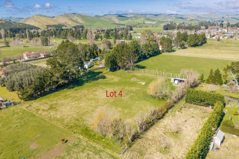 Photo of property in 17 Charlotte Street, Takapau, 4203