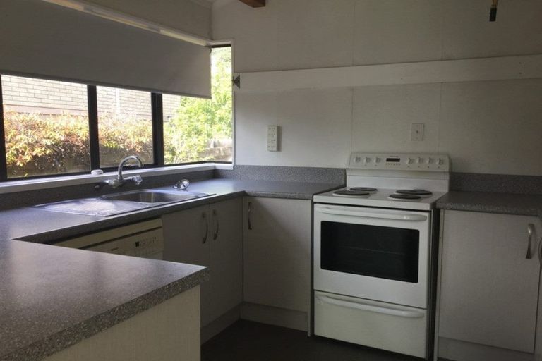 Photo of property in 309 Pohutukawa Avenue, Ohope, 3121