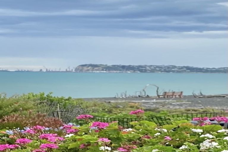 Photo of property in 12 Ferguson Street, Bay View, Napier, 4104