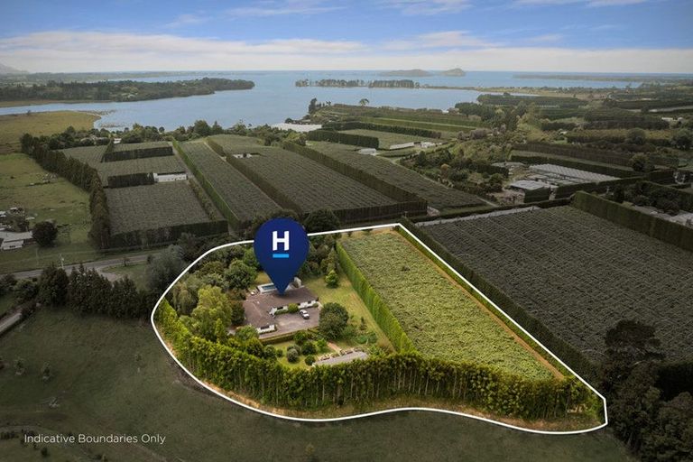 Photo of property in 116 Tuapiro Road, Tahawai, Katikati, 3170