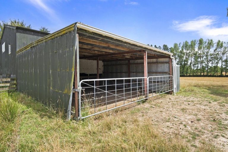 Photo of property in 373 Colyton Road, Colyton, Feilding, 4775