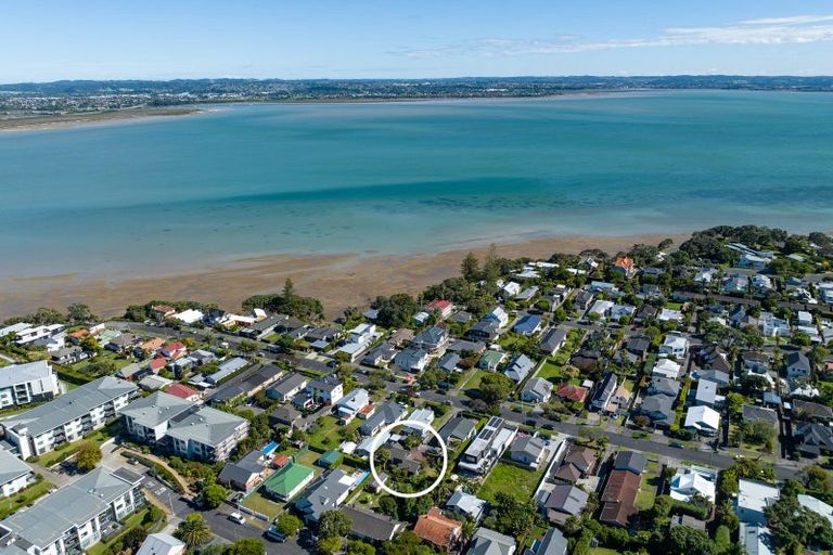 Photo of property in 40a St Michaels Avenue, Point Chevalier, Auckland, 1022