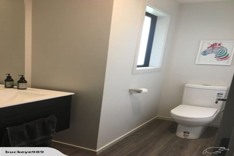 Photo of property in 41 Missy Crescent, Mount Pisa, Cromwell, 9383