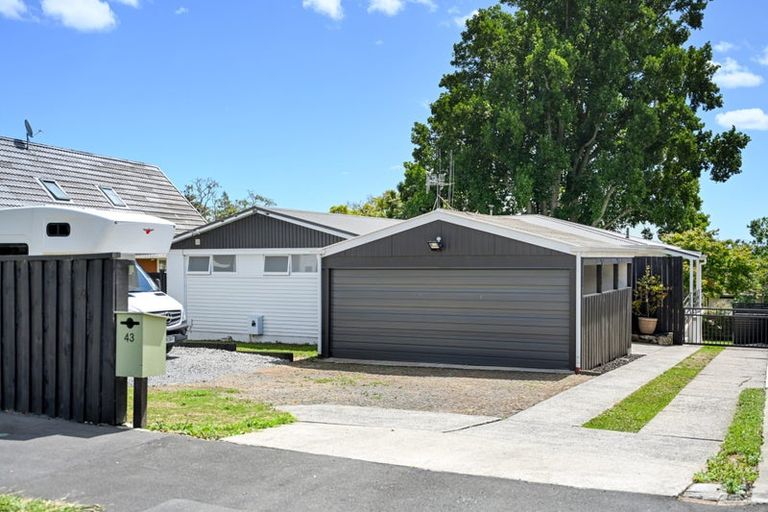 Photo of property in 43 Hillcrest Road, Hillcrest, Hamilton, 3216