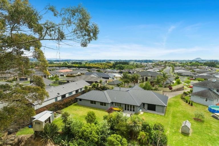 Photo of property in 24 Louise Drive, Ohauiti, Tauranga, 3112