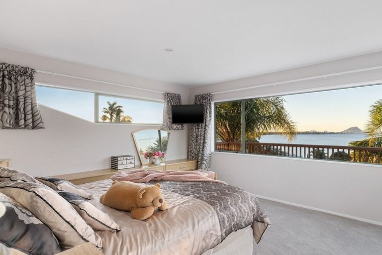 Photo of property in 202 Maungatapu Road, Maungatapu, Tauranga, 3112