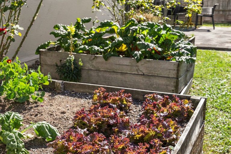 Photo of property in 5a Vernall Street, Nawton, Hamilton, 3200