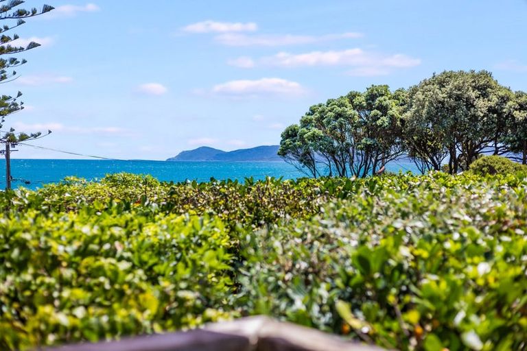 Photo of property in 53 The Esplanade, Raumati South, Paraparaumu, 5032