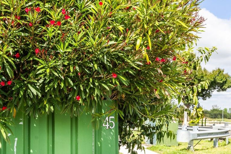 Photo of property in 45 Middle Road, Havelock North, 4130