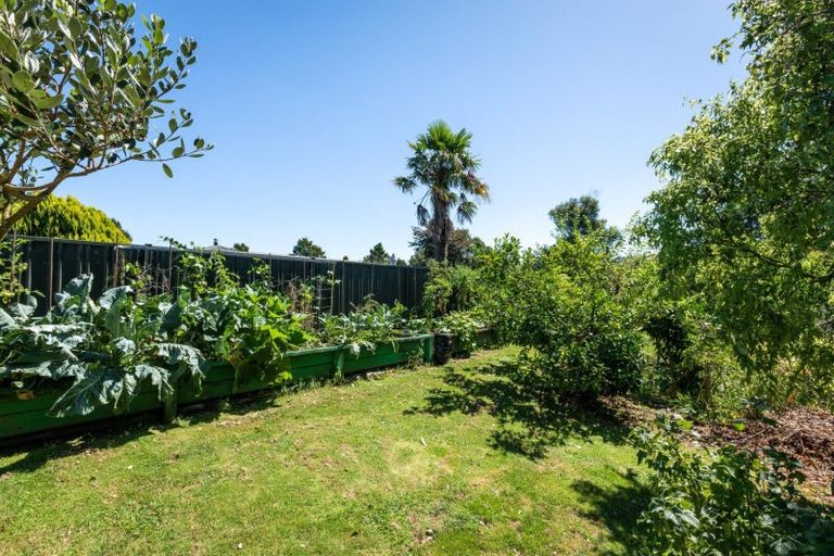 Photo of property in 17 Buller Street, Waihi, 3610