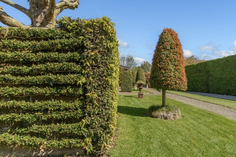 Photo of property in 41a Hollister Lane, Ohauiti, Tauranga, 3112