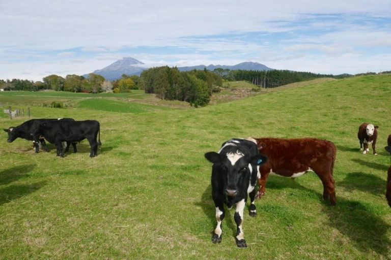 Photo of property in 890 Mangorei Road, Mangorei, New Plymouth, 4371