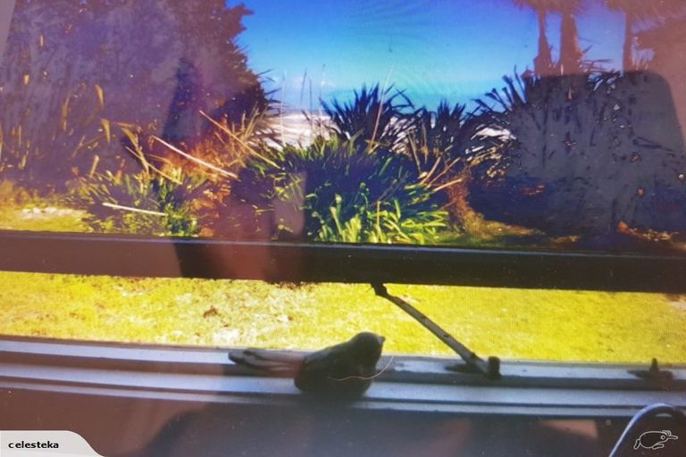 Photo of property in 33 Main Road, Hector, 7822