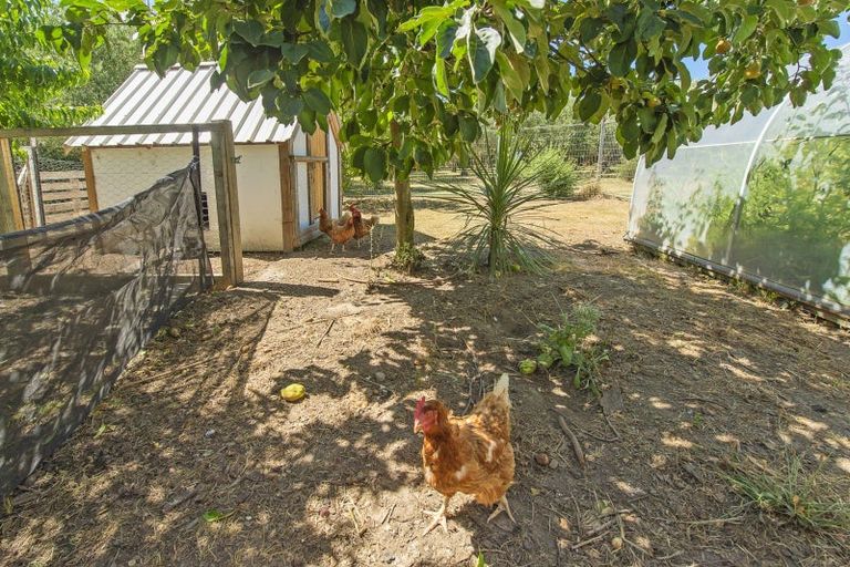 Photo of property in 488 Telegraph Road, Burnham, Christchurch, 7677