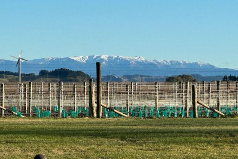 Photo of property in 350 Flaxmere Avenue, Flaxmere, Hastings, 4120